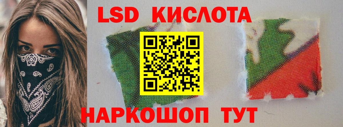 Галлюциногенные грибы Кимовск