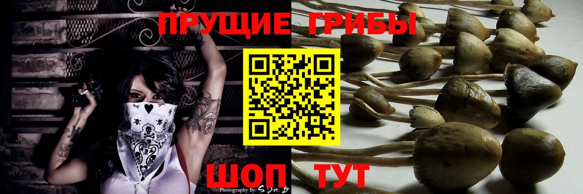 Кимовск  Галлюциногенные грибы Magic Shrooms  Вход с VPN 