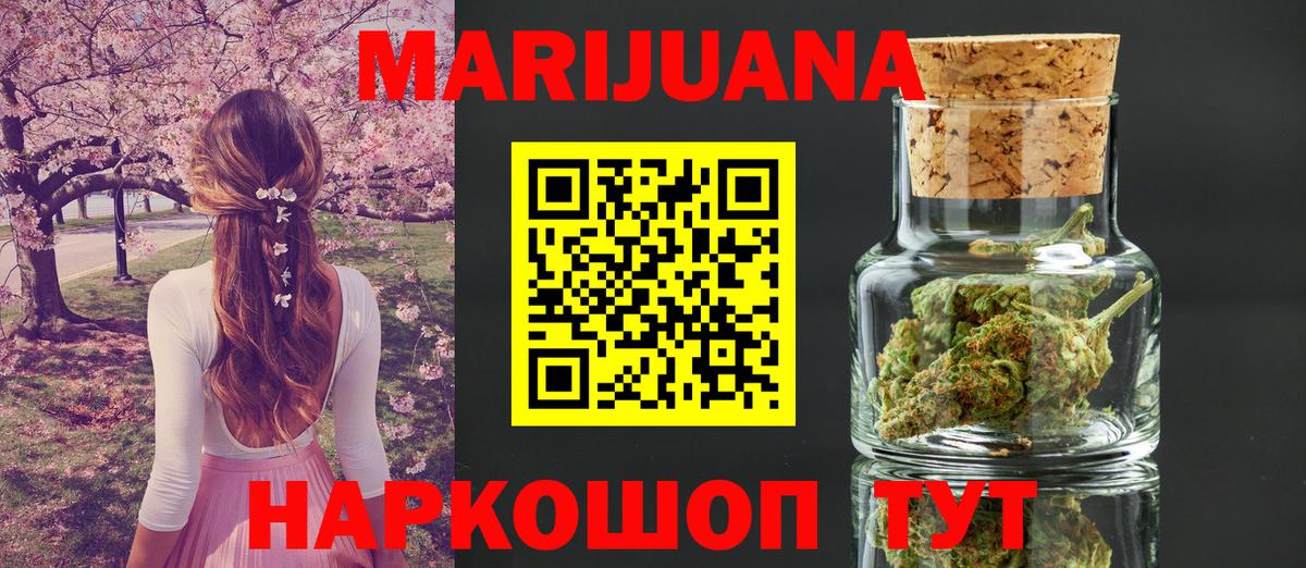 Канабис планчик Кимовск